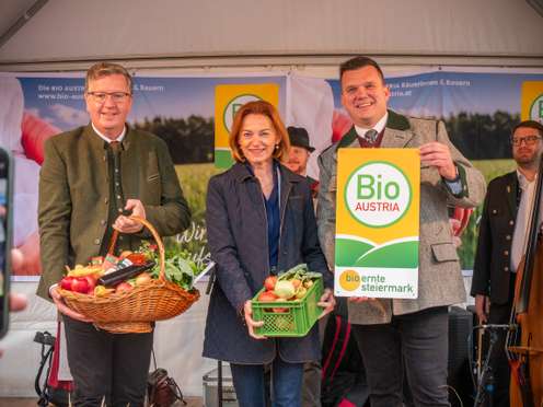 Andreas Steinegger, Simone Schmiedtbauer und Thomas Gschier.