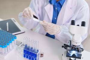 Im Gentechnik Labor