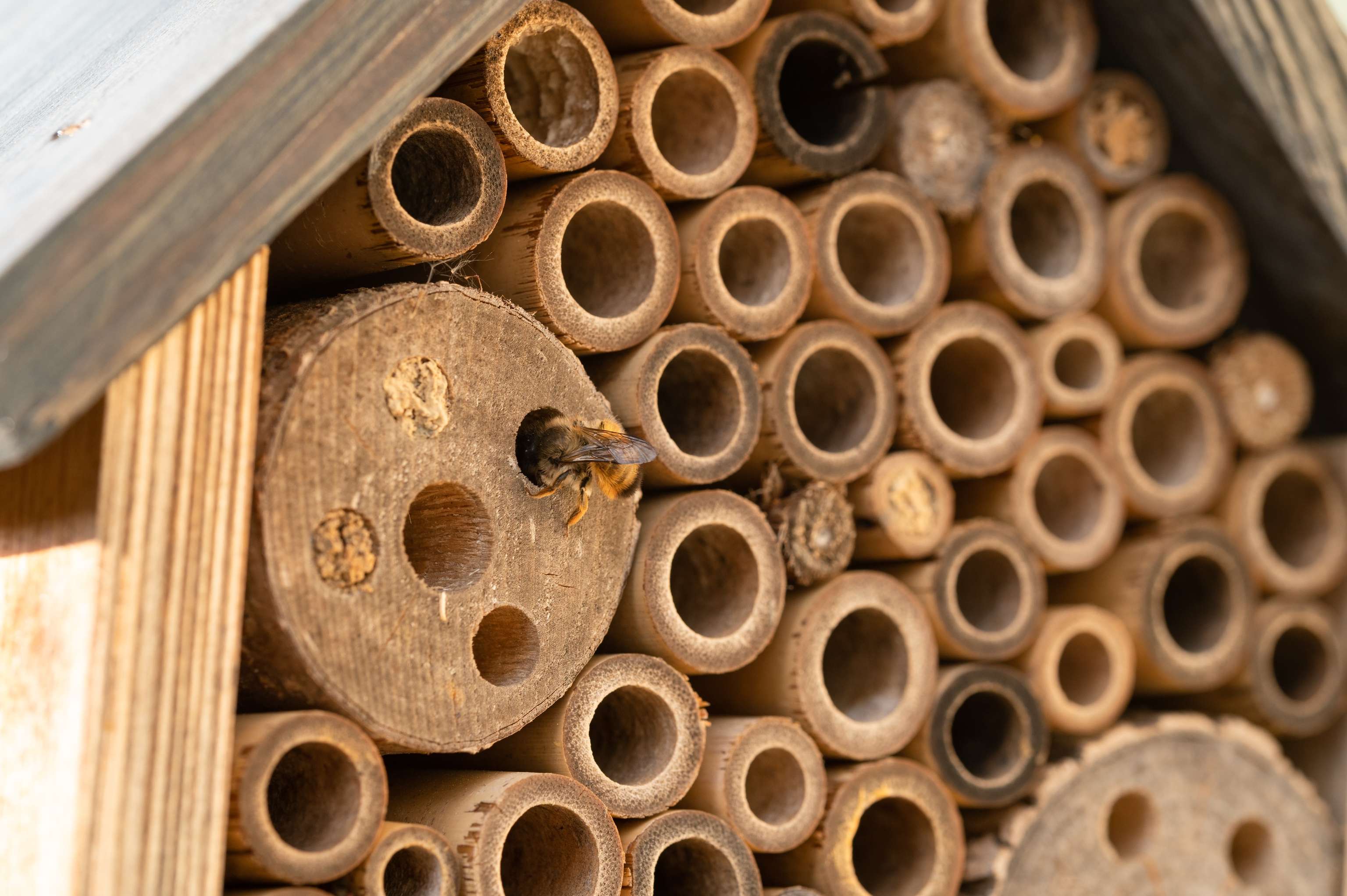 Insektenhotel