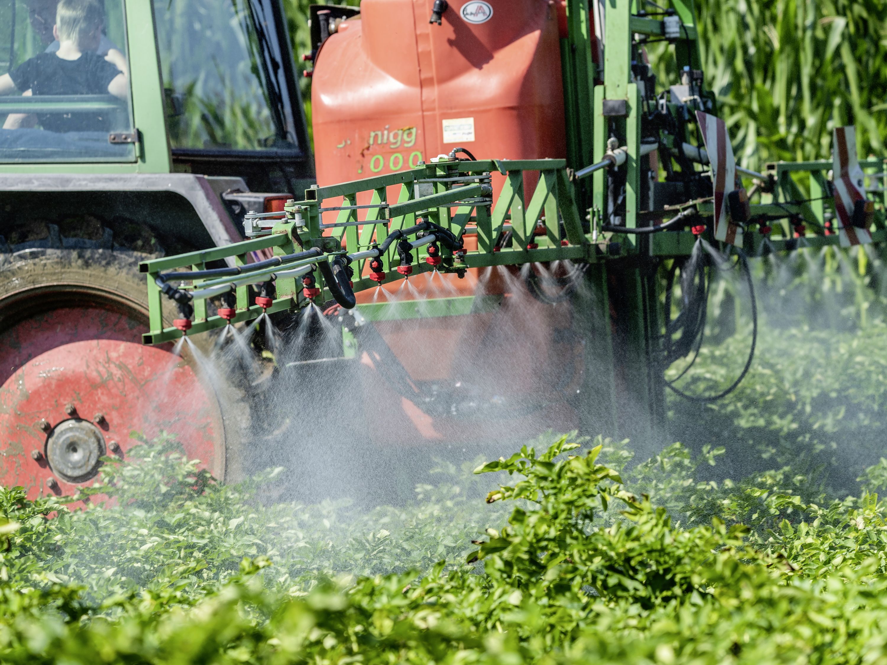 Arbeit auf dem Feld