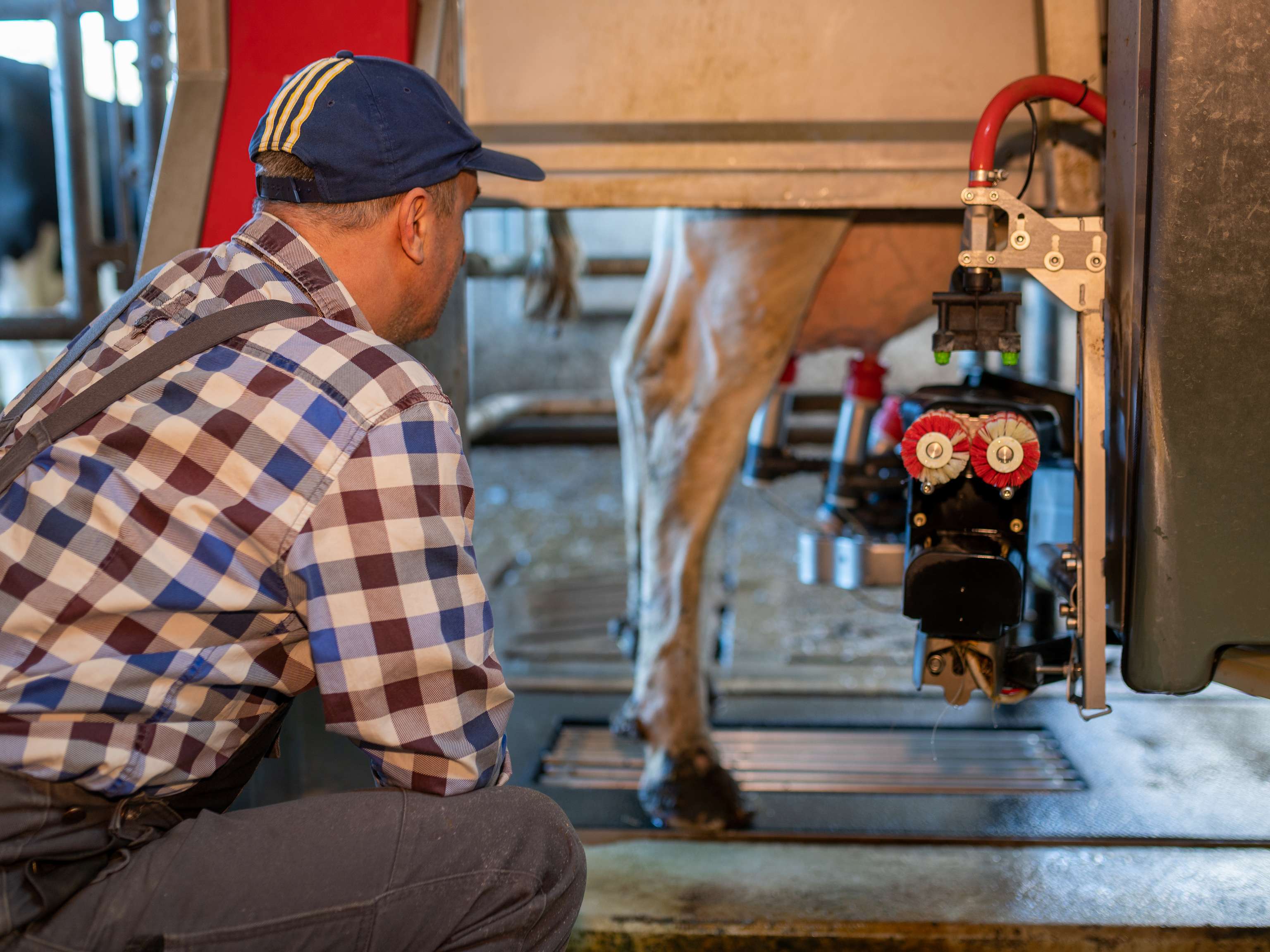 Landwirt vor einem Melkroboter