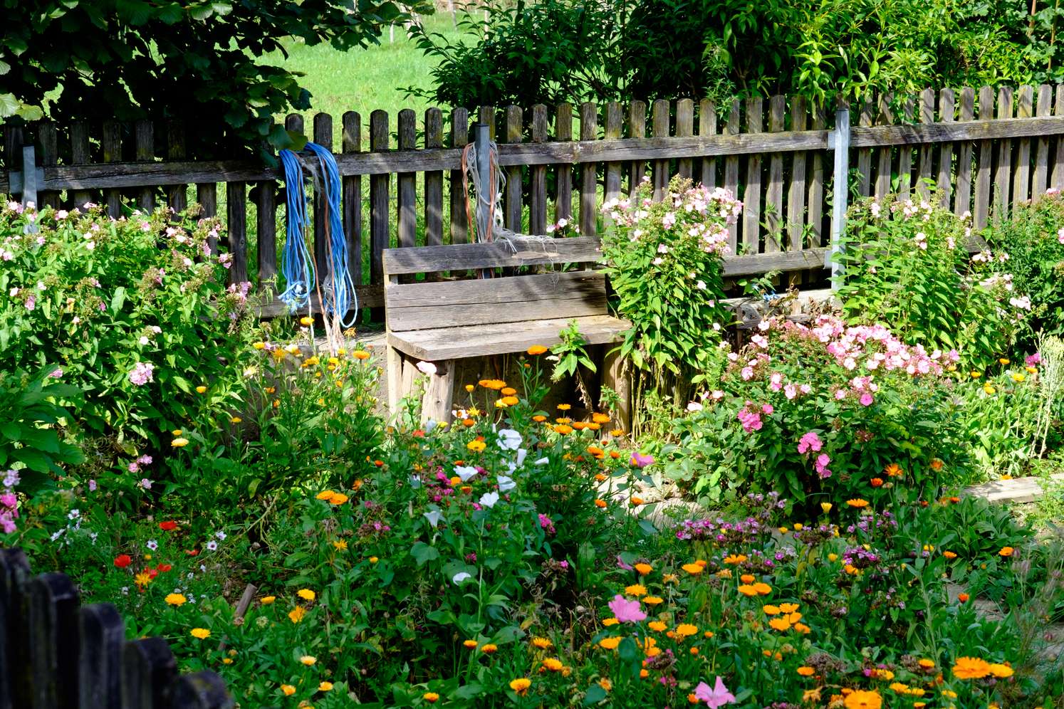 Blick in einen dicht mit Blumen bewachsenen Garten mit Gartenzaun und Sitzbank aus Holz.