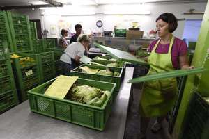 Bauernkiste Kistenpacken VOR Corona
