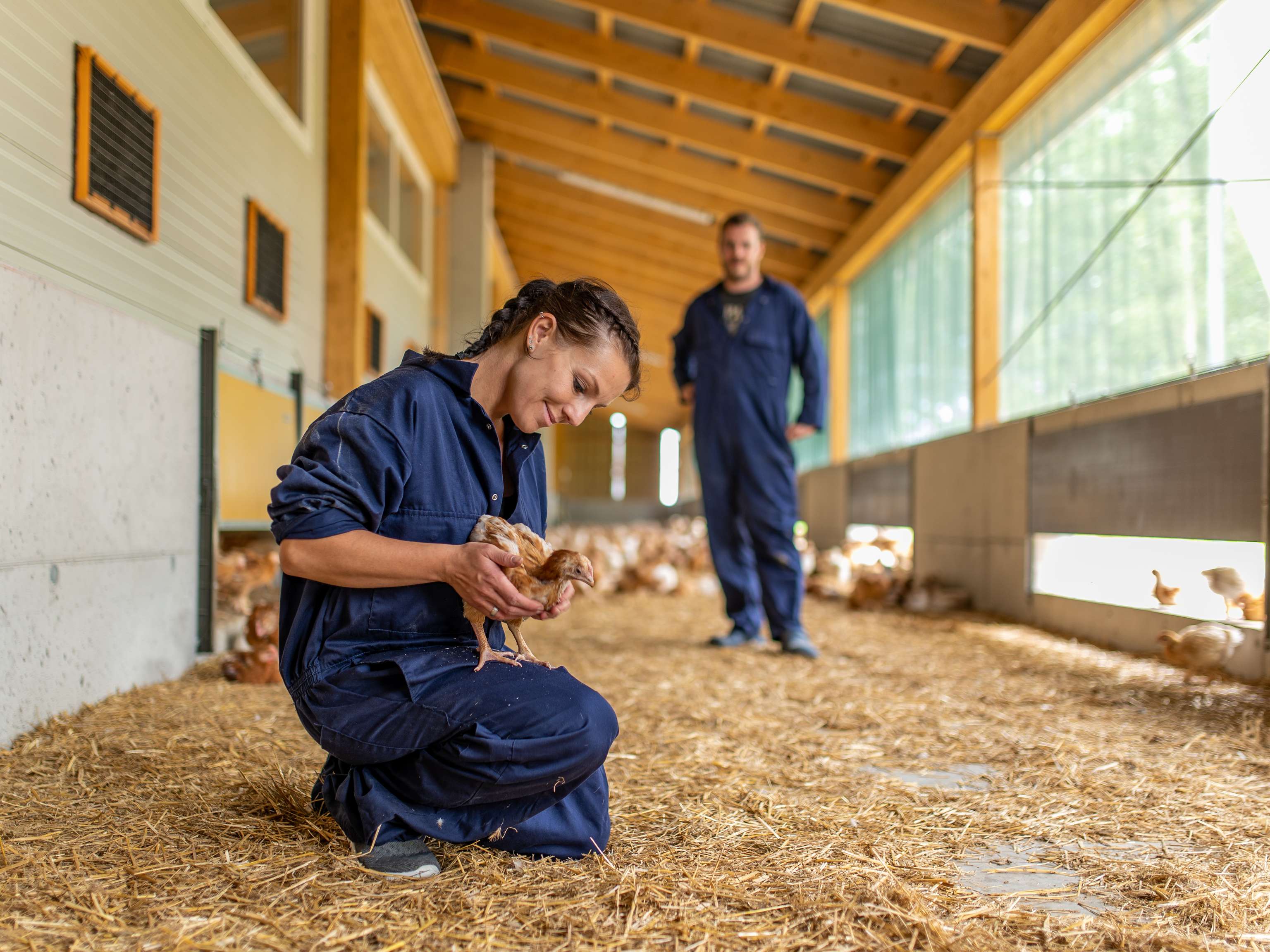 Bäuerin kniet mit Huhn in der Hand am Boden