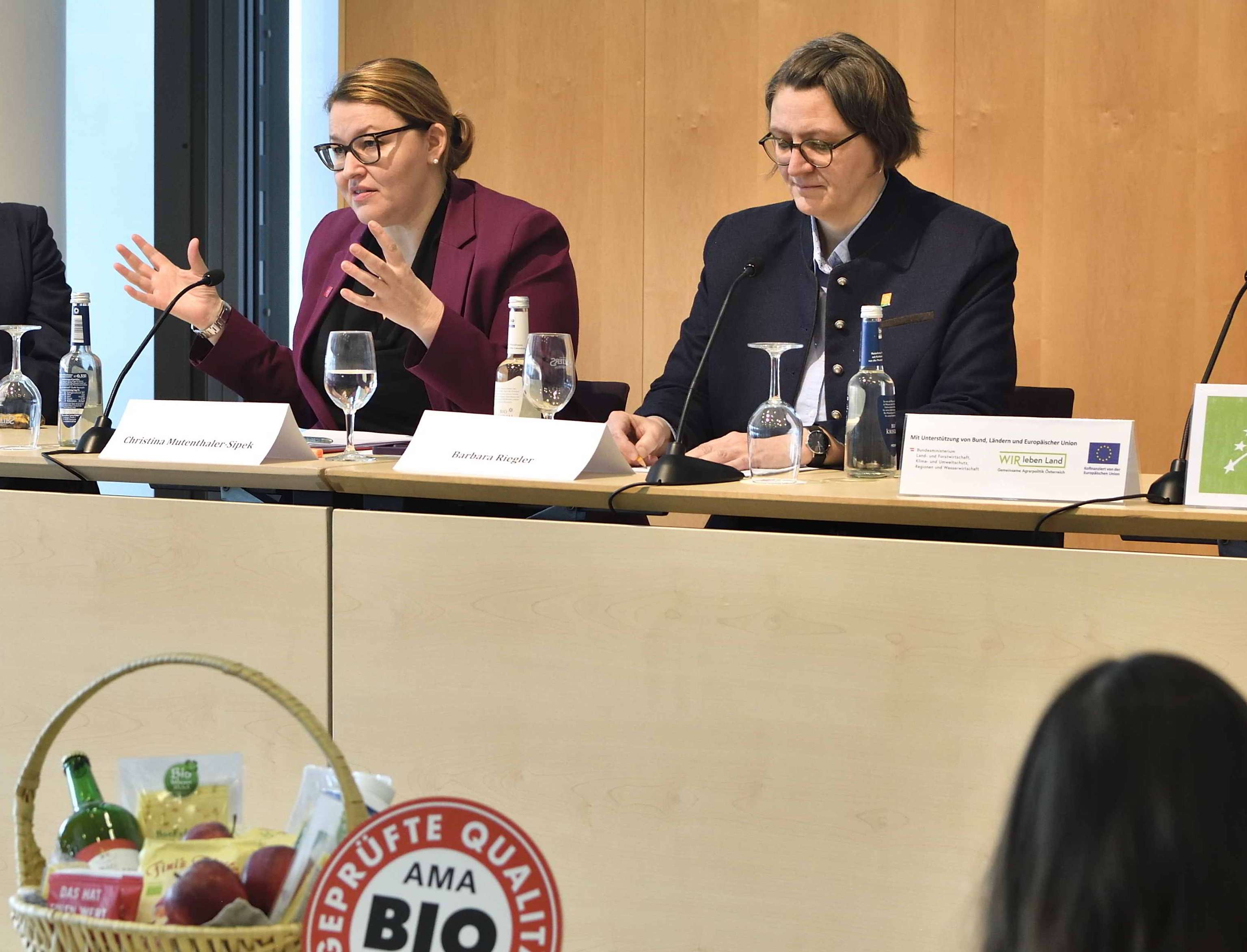 PK Nürnberg Mutenthaler-Sipek, Riegler