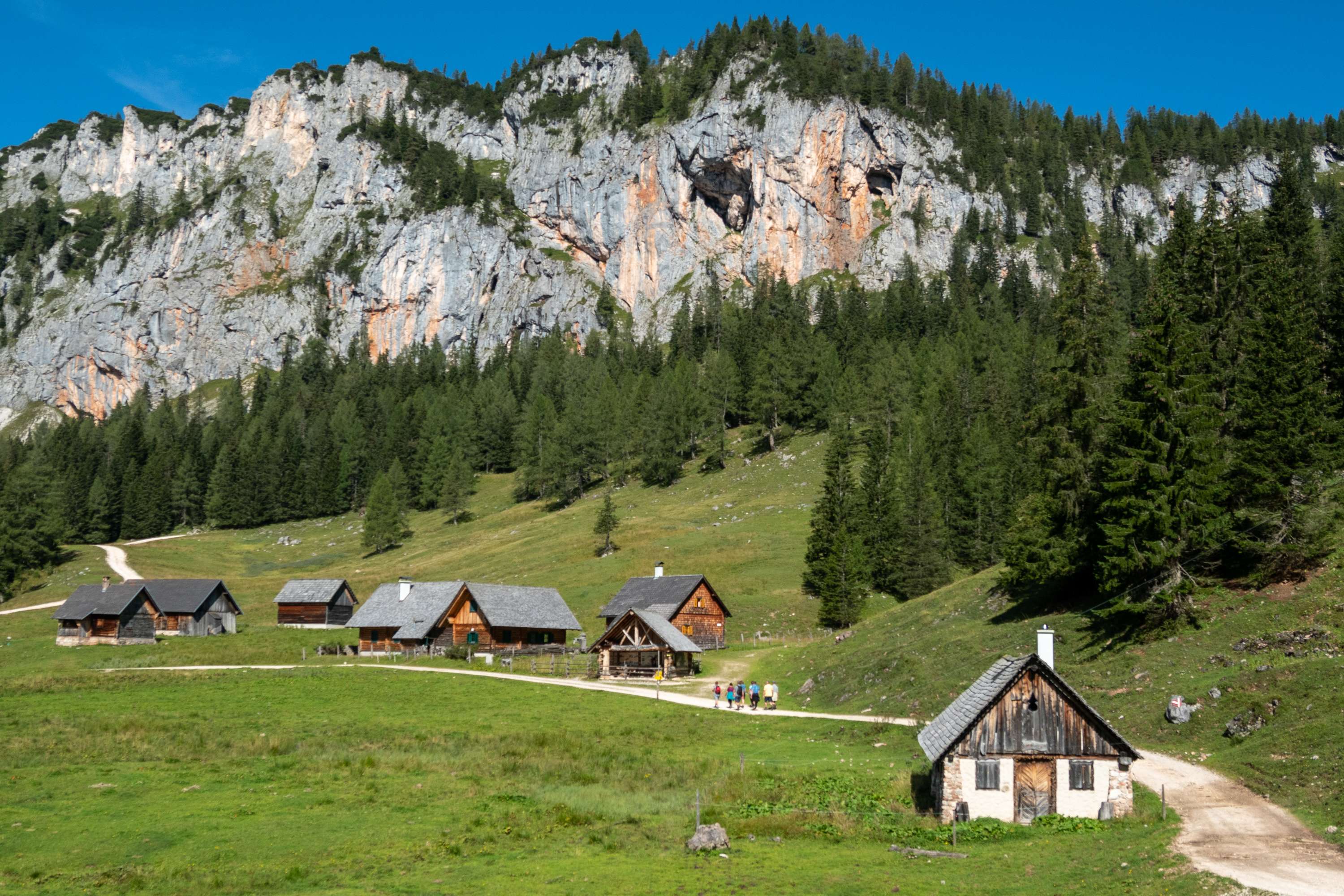 Almhütten und Berg im Hintergrund