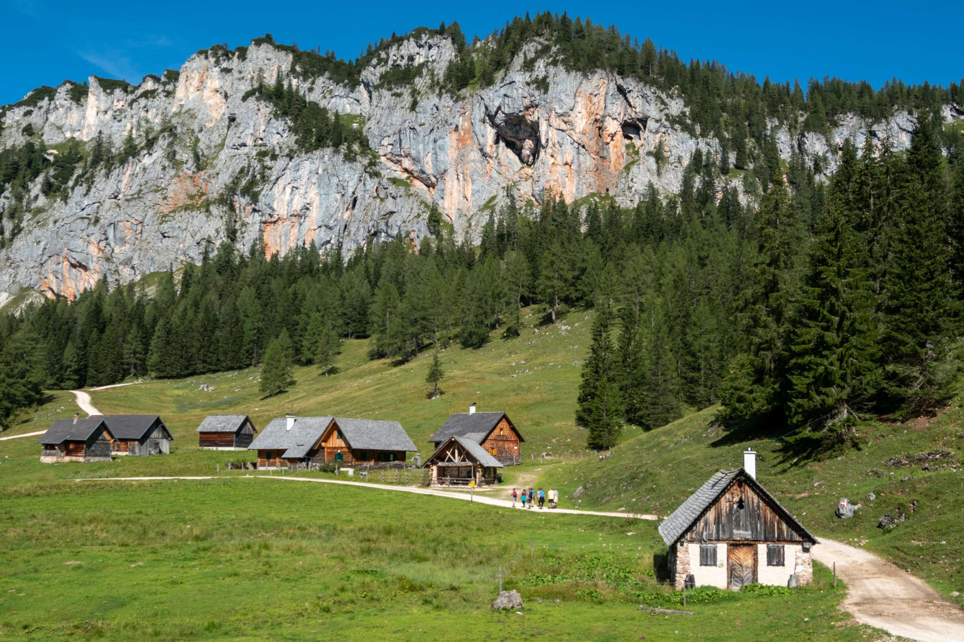 Almhütten und Berg im Hintergrund