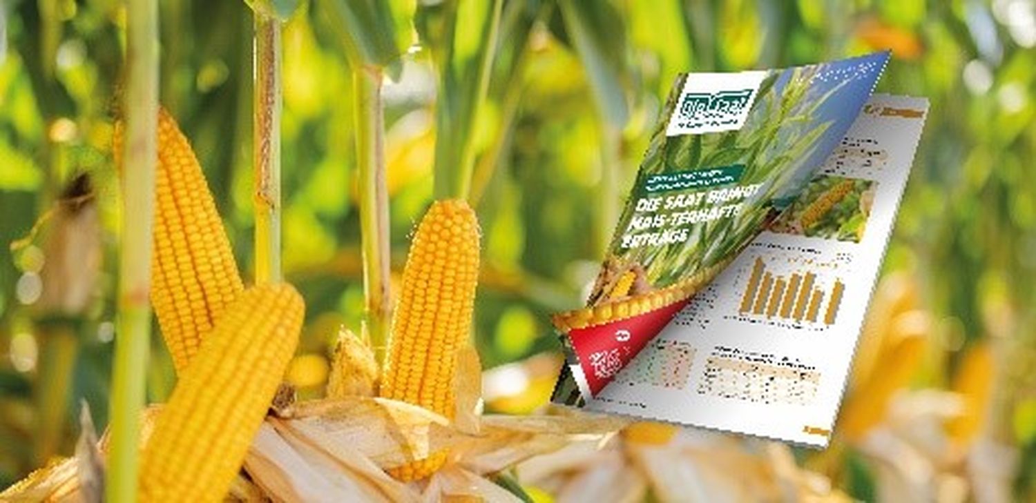 Das Fachblatt bietet Informationen zum Frühjahrsanbau.