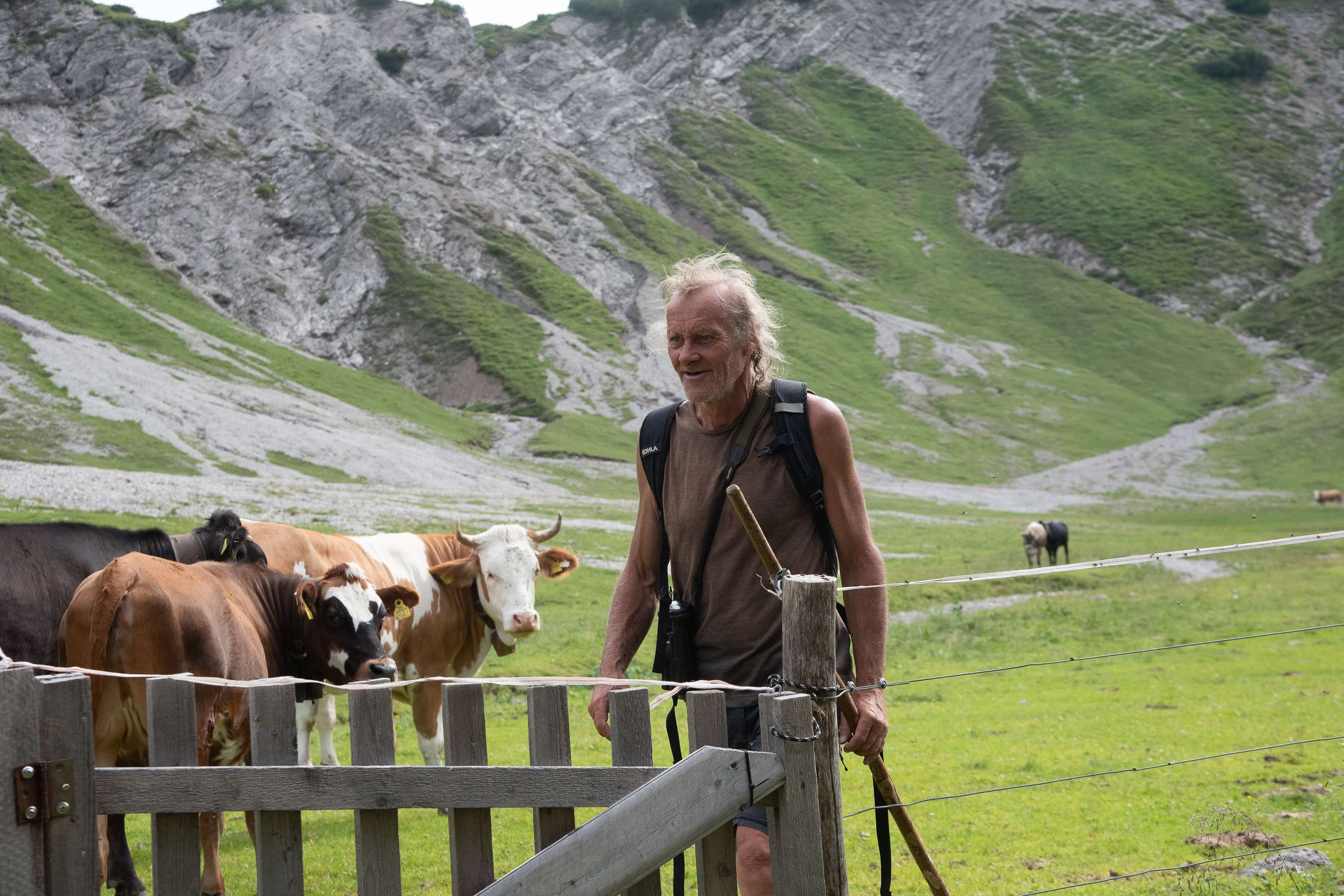 Älterer Wanderer mit Rucksack und Wanderstock an einem Holzzaun auf einer Alm mit Kühen und felsigem Berghang im Hintergrund.