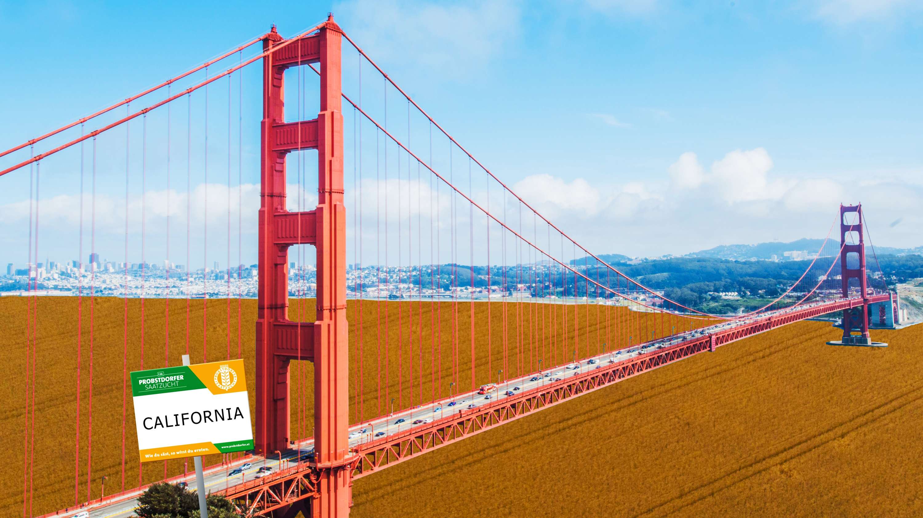California Probstdorfer