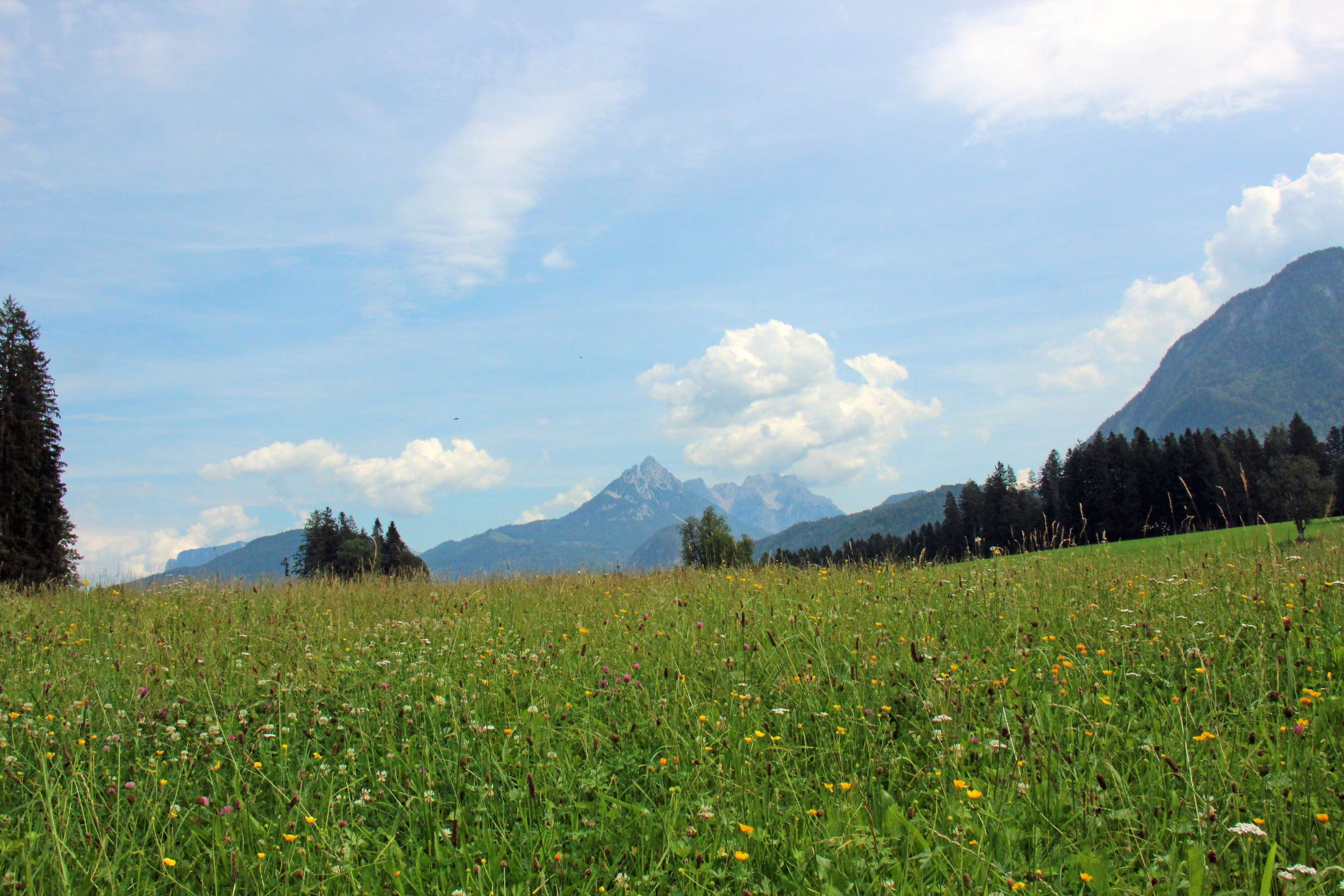 Landschaft Boden