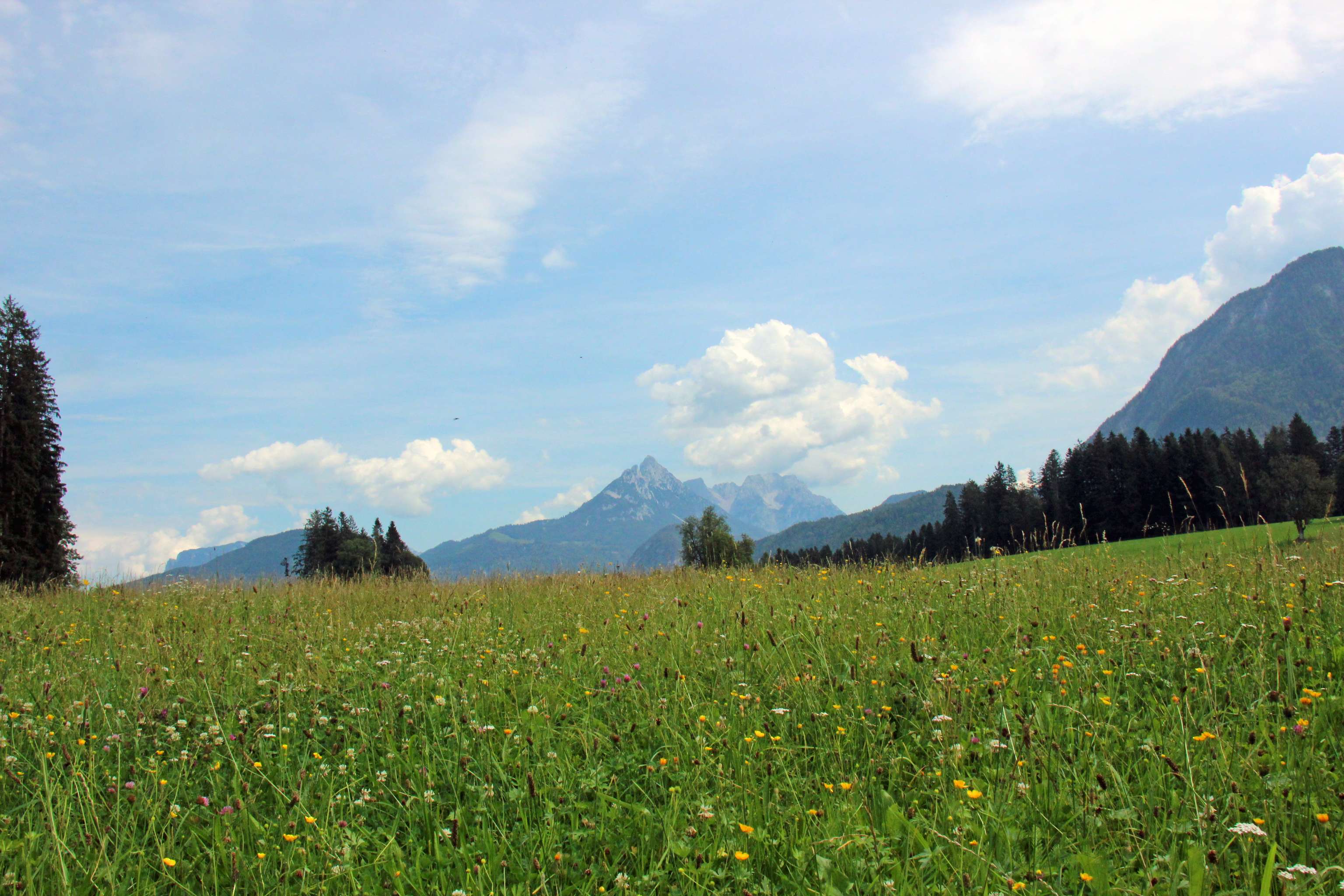 Landschaft Boden