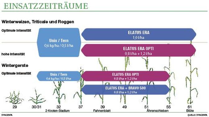 eins.jpg