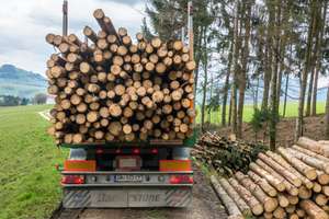 Schleifholz Aufladen 7 ID72145