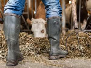 Bauer Stallarbeit 14 ID76561