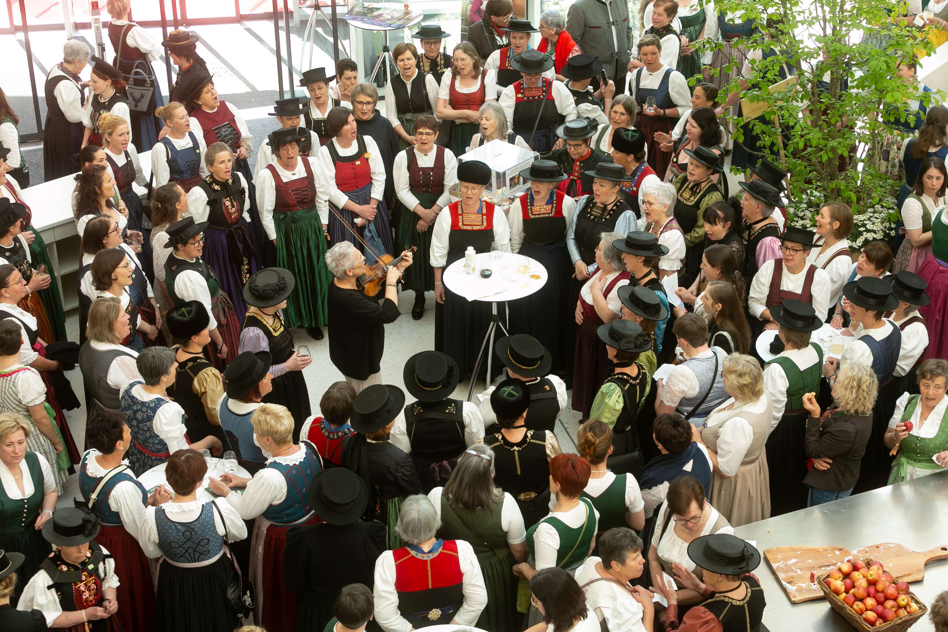 Bäuerinnen von oben