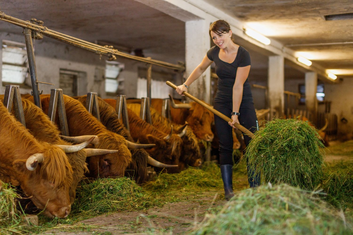 Die Zahl der Fälle, in denen soziale Hilfe auf Landwirtschaftsbetrieben nötig ist, steigt stetig.