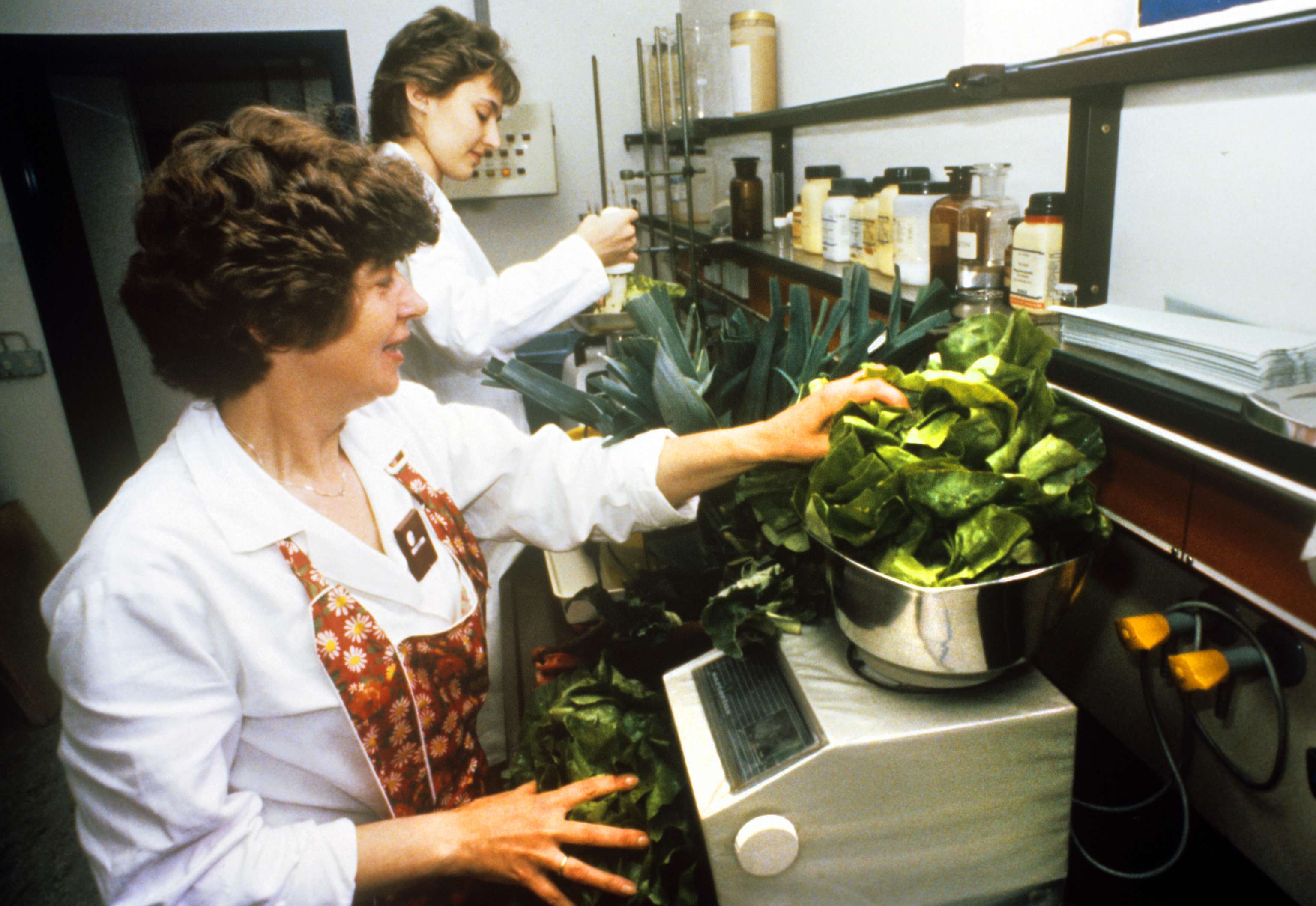 Strahlentest bei Gemüse