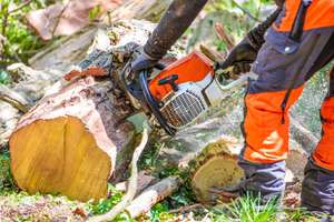 AdobeStock_344463072