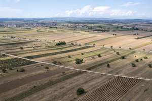 Trockenes Feld