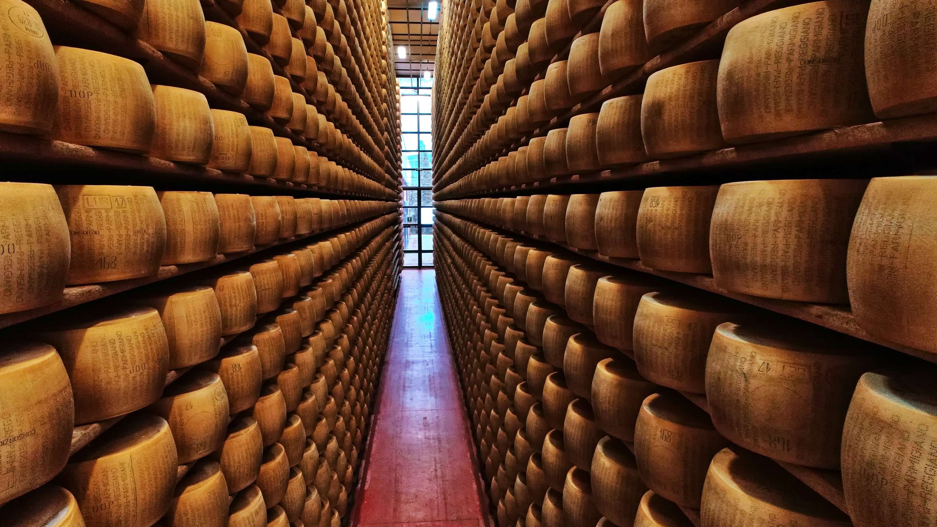 Langer Reifekeller mit hunderten gestapelten Parmigiano-Reggiano-Käselaiben auf Holzregalen beidseitig eines schmalen Ganges.