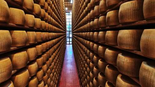 Langer Reifekeller mit hunderten gestapelten Parmigiano-Reggiano-Käselaiben auf Holzregalen beidseitig eines schmalen Ganges.