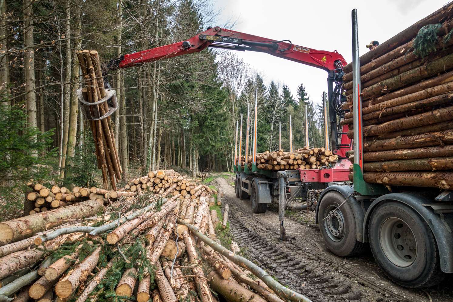 Schleifholz aufladen