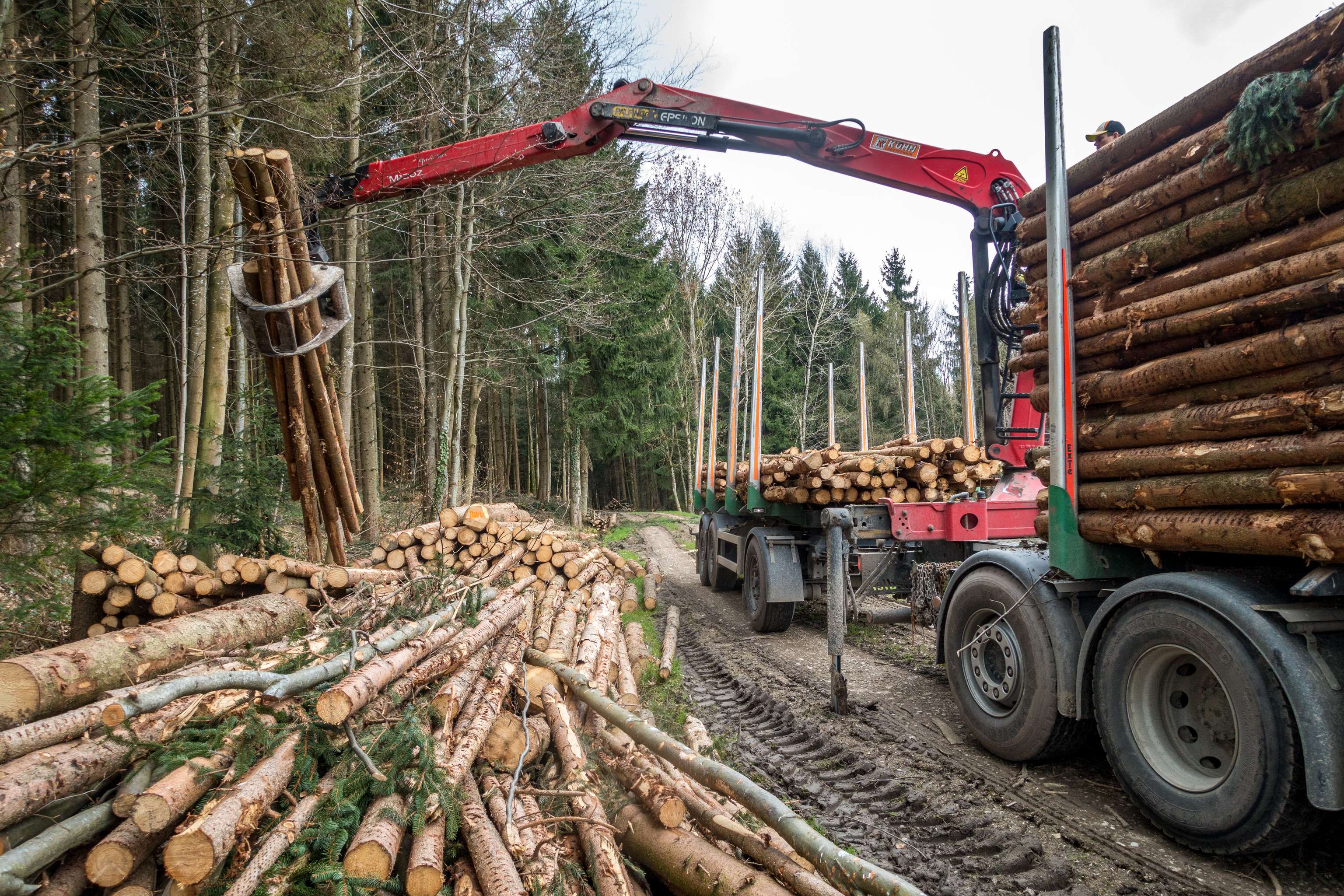Schleifholz aufladen