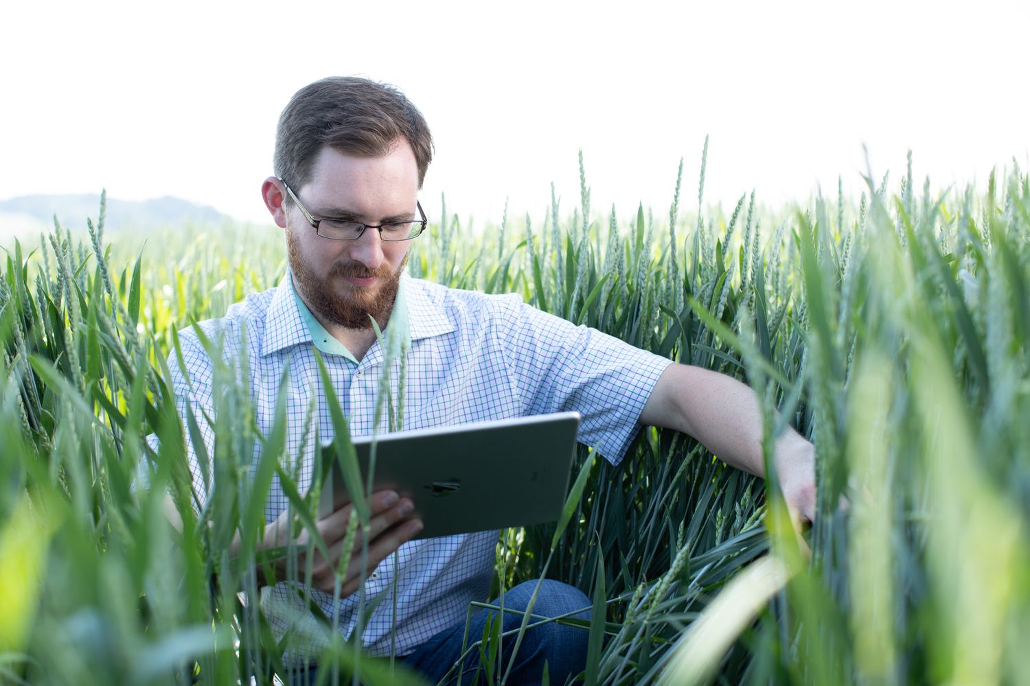 RWA_Onfarming.jpg