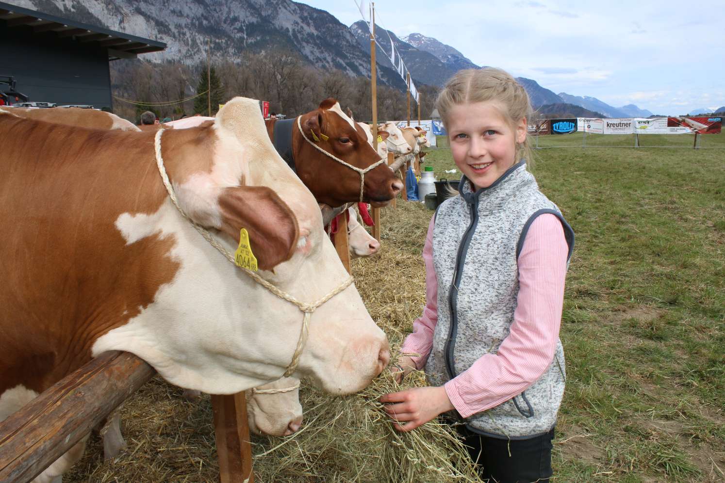 Girl with cow