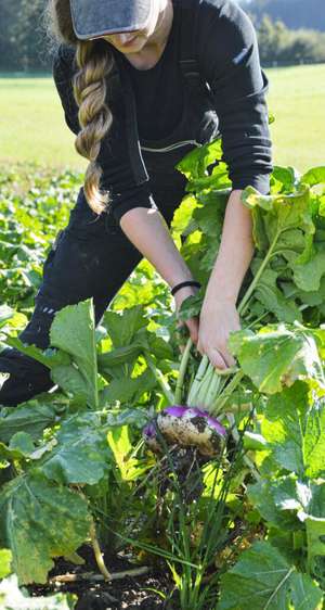 Der Anbau erfordert viel Können.