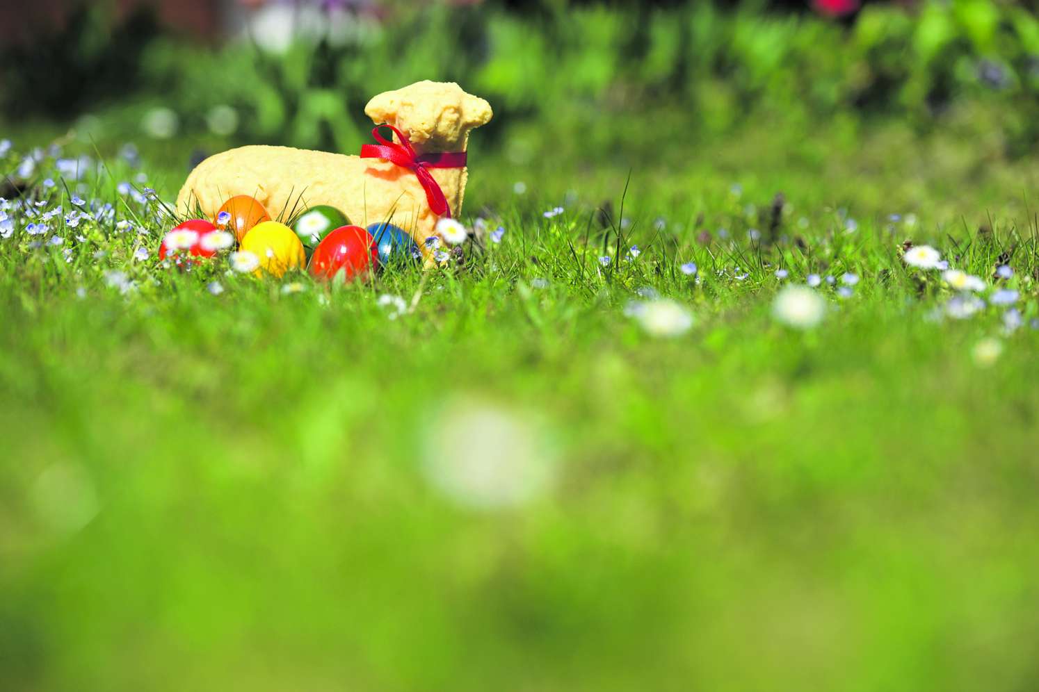 Osterlamm mit Eiern auf einer Wiese