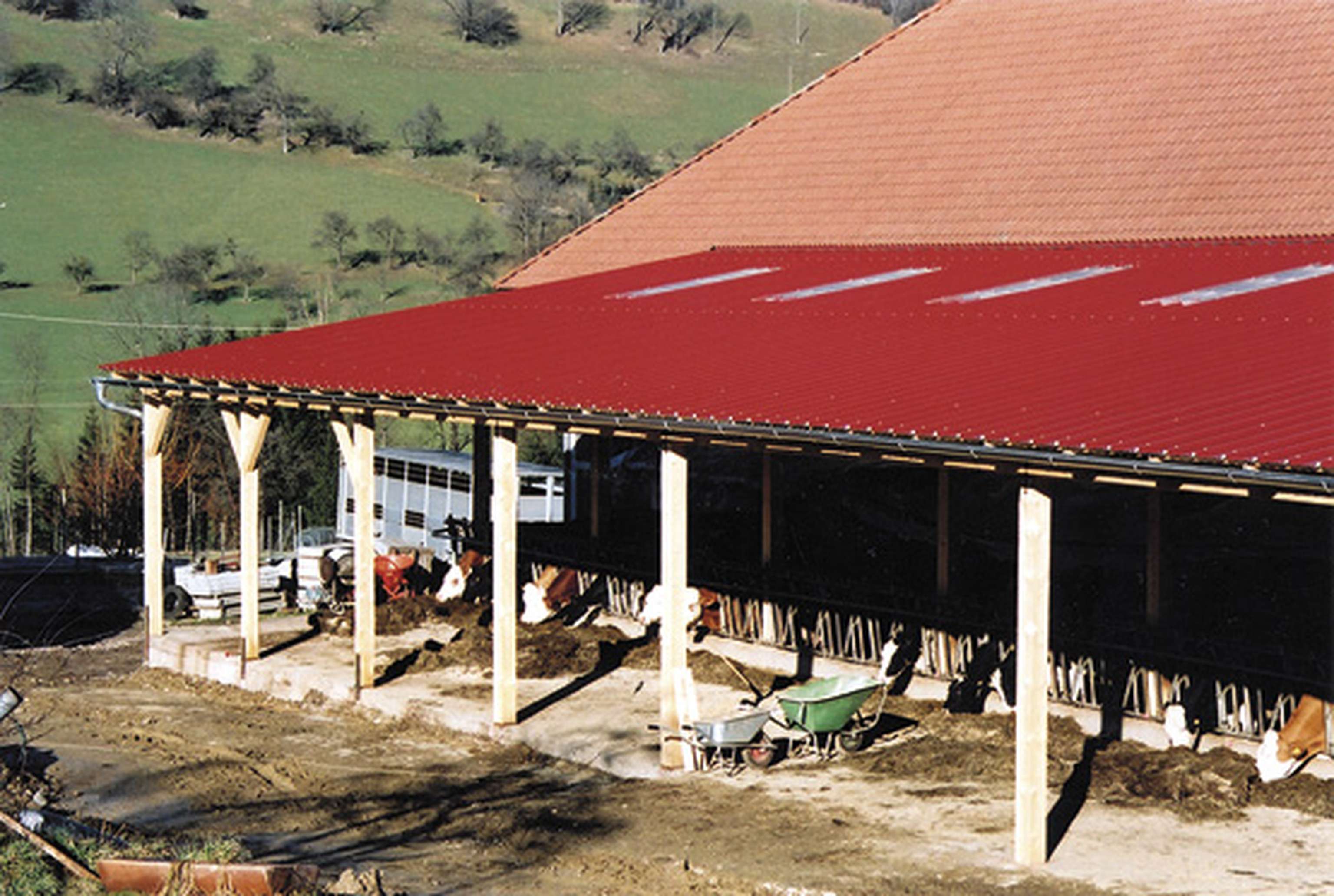 Landwirtschaftliches Gebäude mit rotem Dach, Kühe im Fressbereich, Schubkarre vorne, grüne Hügel im Hintergrund.
