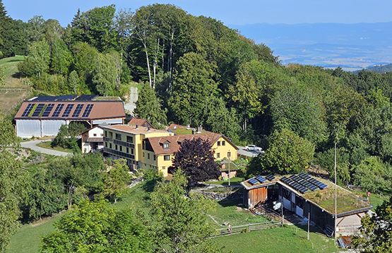 Bild 0 von Anzeige: Hofnachfolge mit Herz gesucht – am Eibenhof im Texingtal (NÖ)
