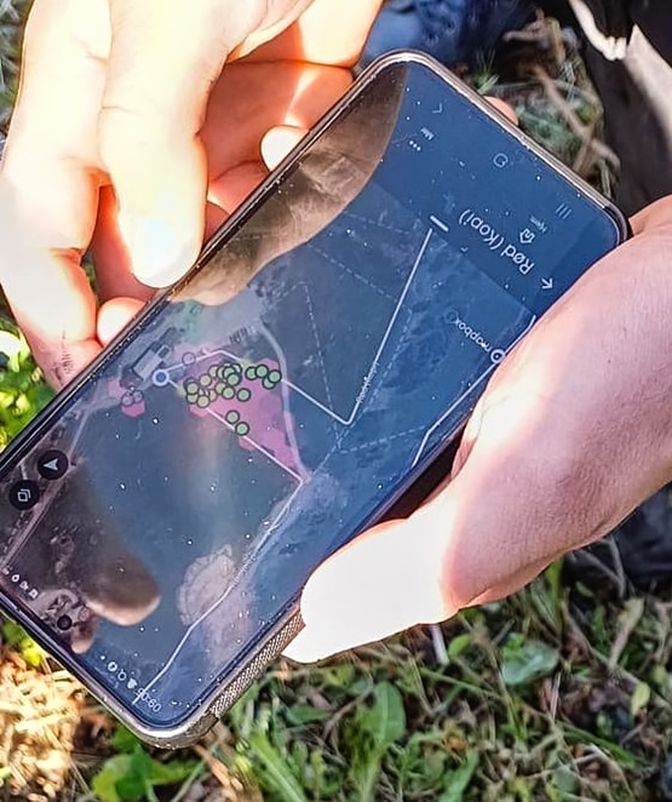 App