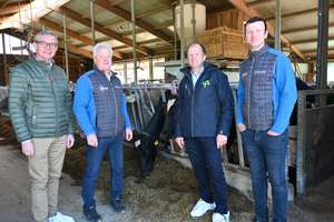 Franz Waldenberger, Karl Grabmayr, Thomas Hartl, Stefan Grabmayr.