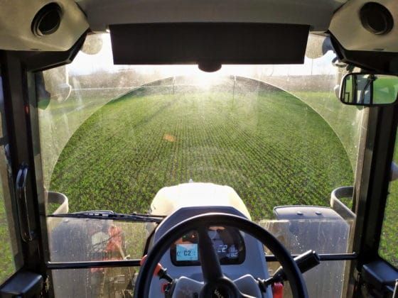 Großes Wischerfeld, Sonnenblende und nicht sichtbarer Auspuff