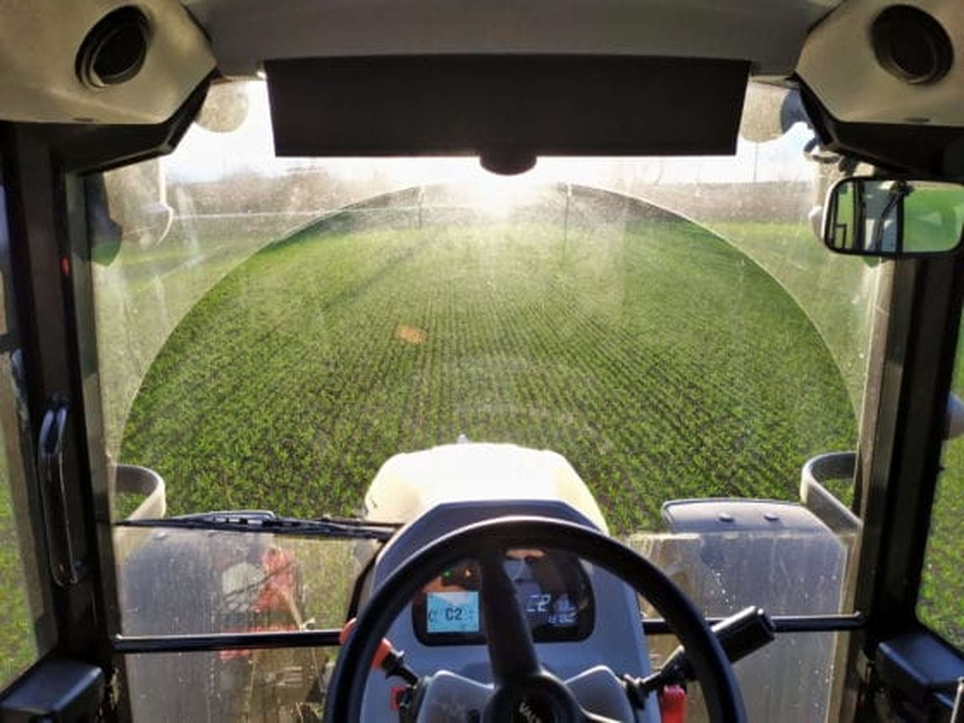 Großes Wischerfeld, Sonnenblende und nicht sichtbarer Auspuff