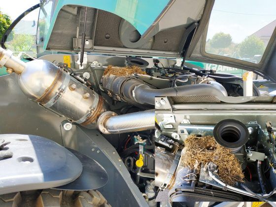 Achtung: Unter der Motorhaube ist ein idealer Brutplatz und evtl. Brandgefahr