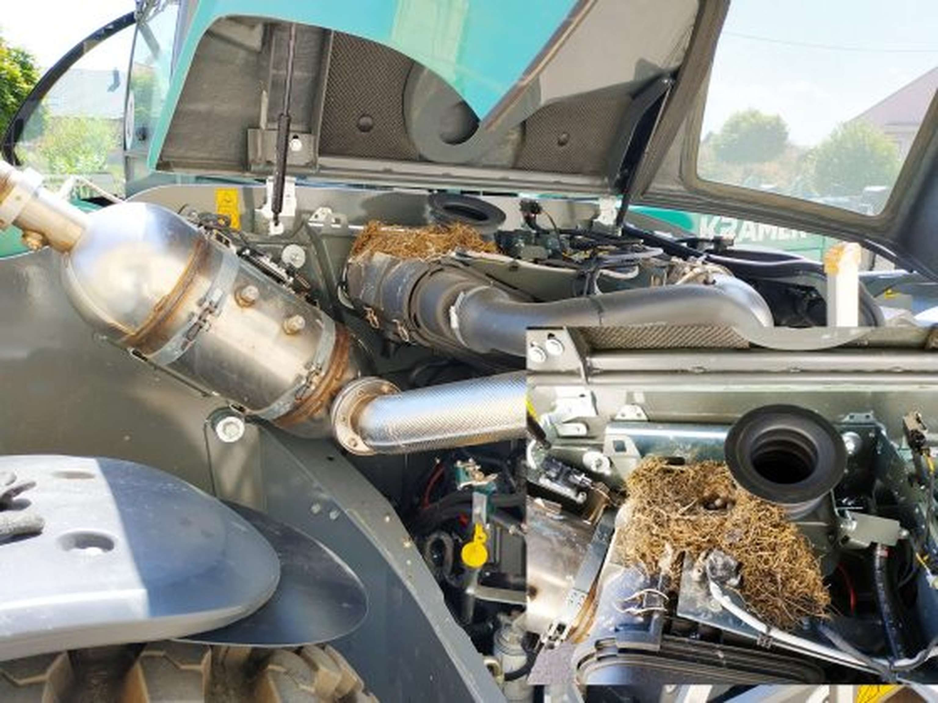 Achtung: Unter der Motorhaube ist ein idealer Brutplatz und evtl. Brandgefahr
