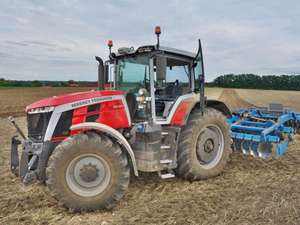 Fühlt sich auf dem Acker wohl.