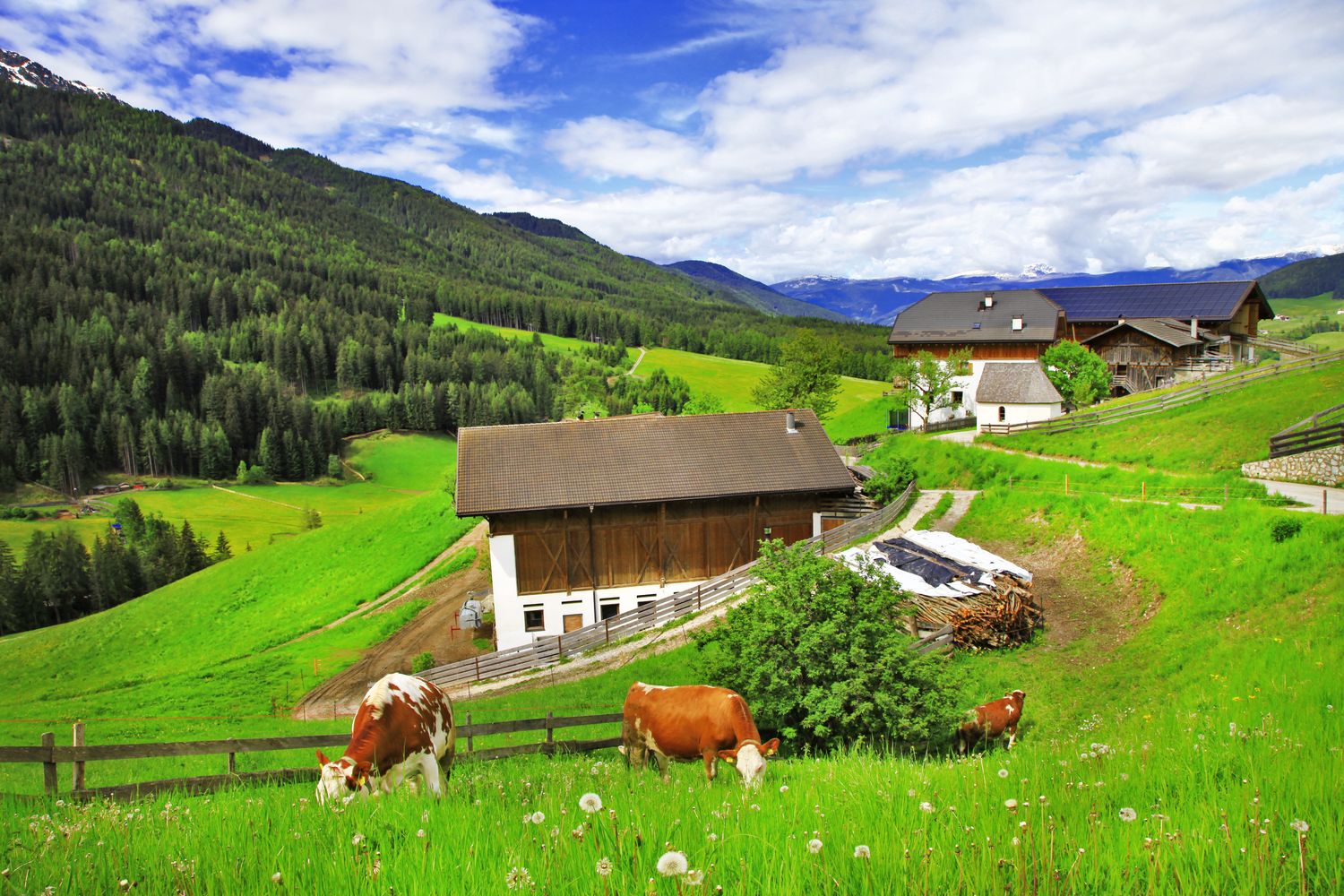 Während der Schönwetterphasen in den Sommermonaten ist auf einem landwirtschaftlichen Betrieb jede helfende Hand willkommen. adobe.stock.com-Freesurf