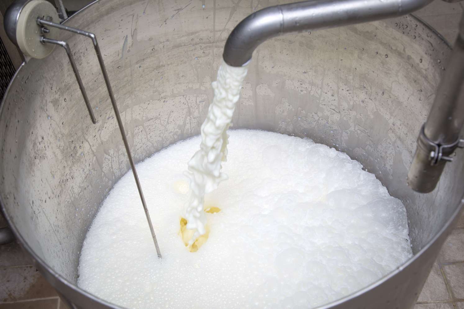 Milch läuft in einen Edelstahltank