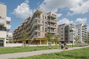 Mehr Holzbau Hilft Klima Und Wald
