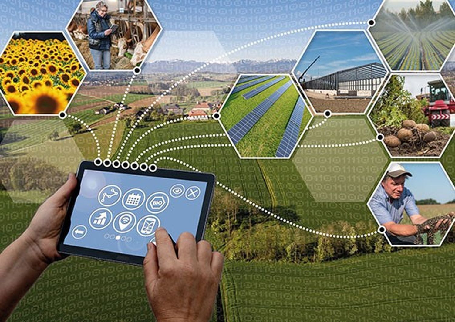 Investitionen in Digitalisierung und Ökologisierung werden mit 14 % gefördert – etwa der Erwerb einer Drohne für den Betrieb oder die Errichtung einer Photovoltaik-Anlage.