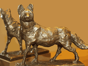 Biofuchs