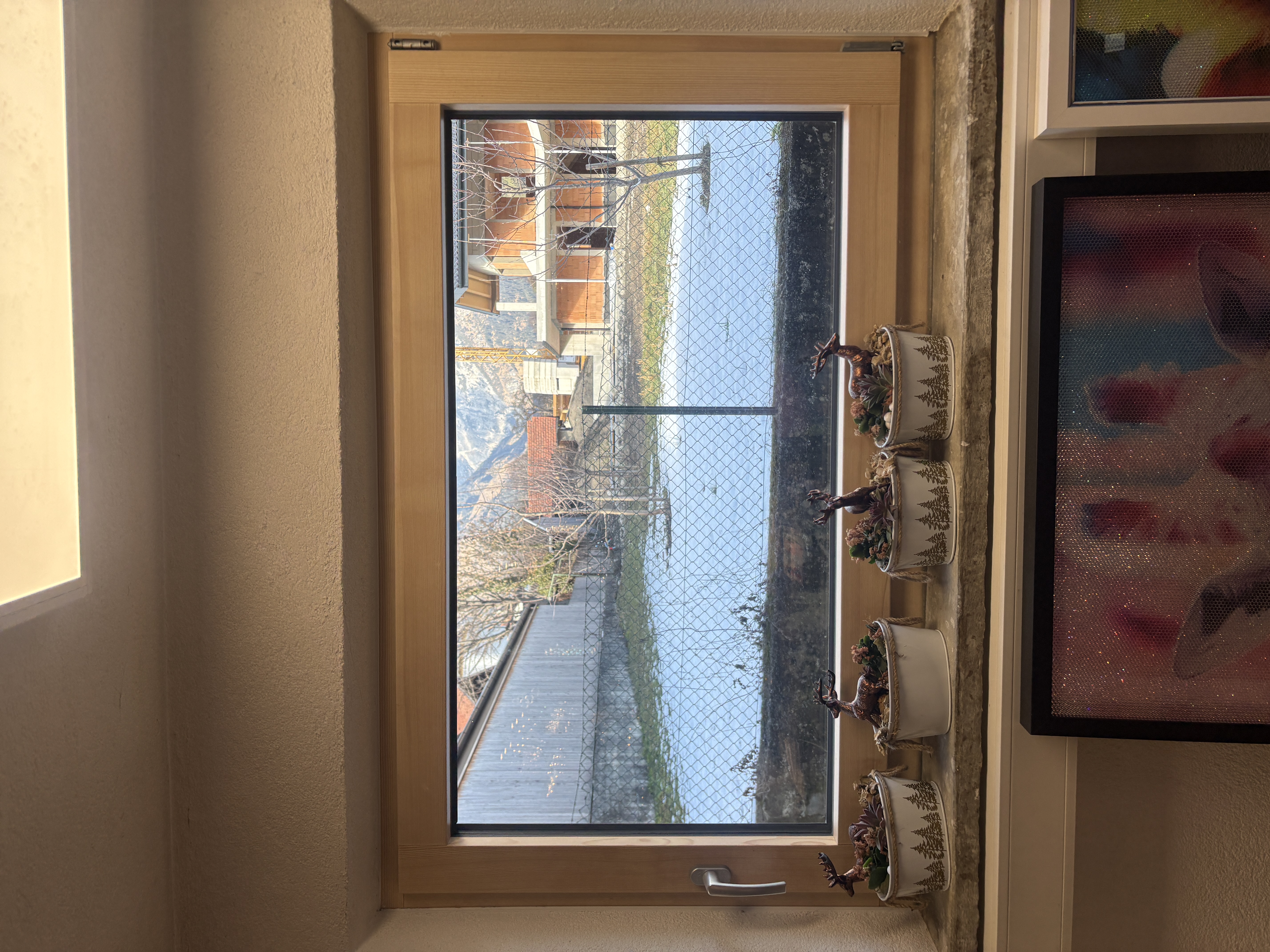 Bild 1 von Anzeige: Fenster und Türen