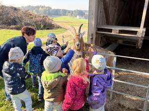 Kinder streicheln eine Ziege