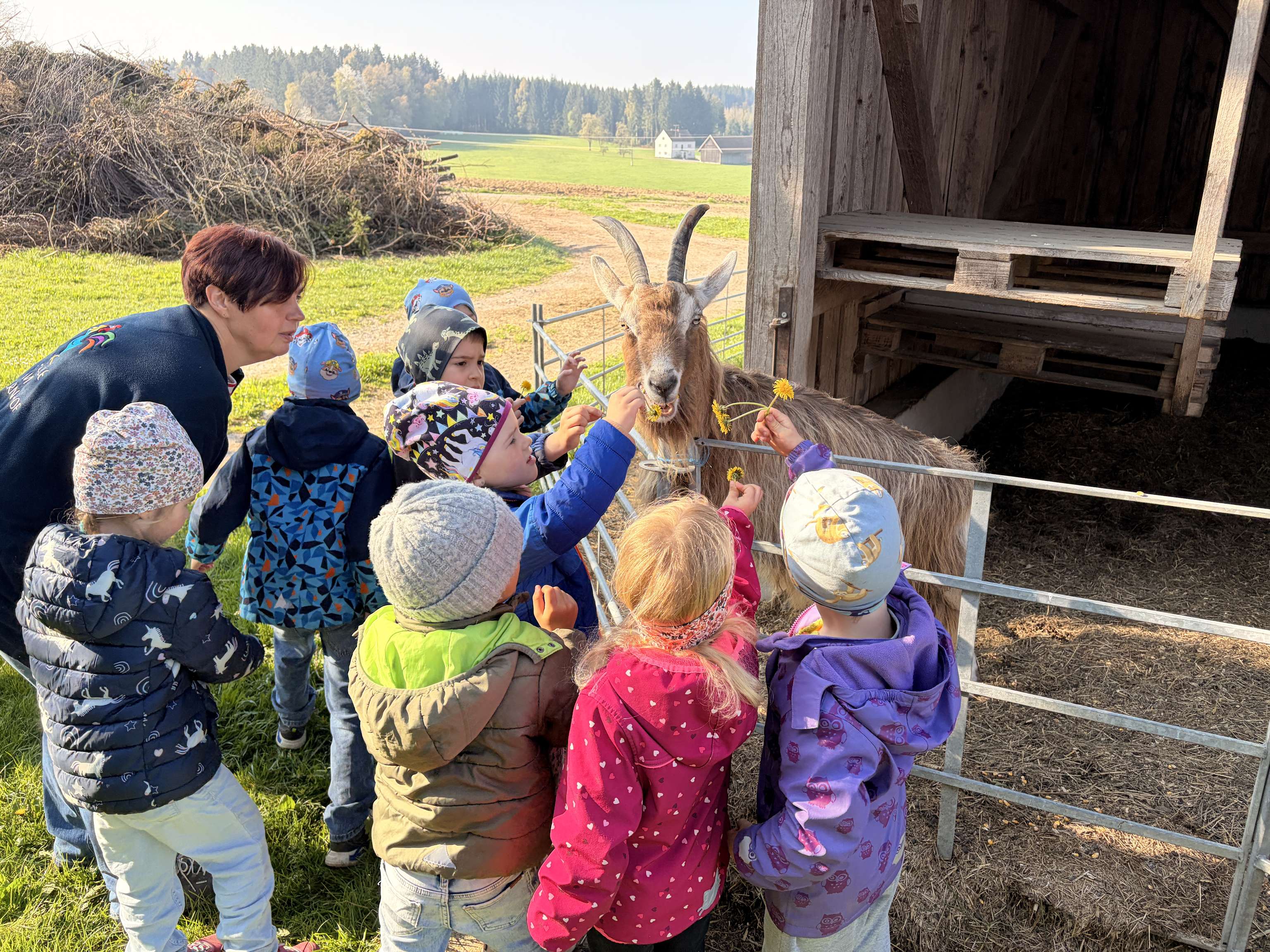 Kinder streicheln eine Ziege