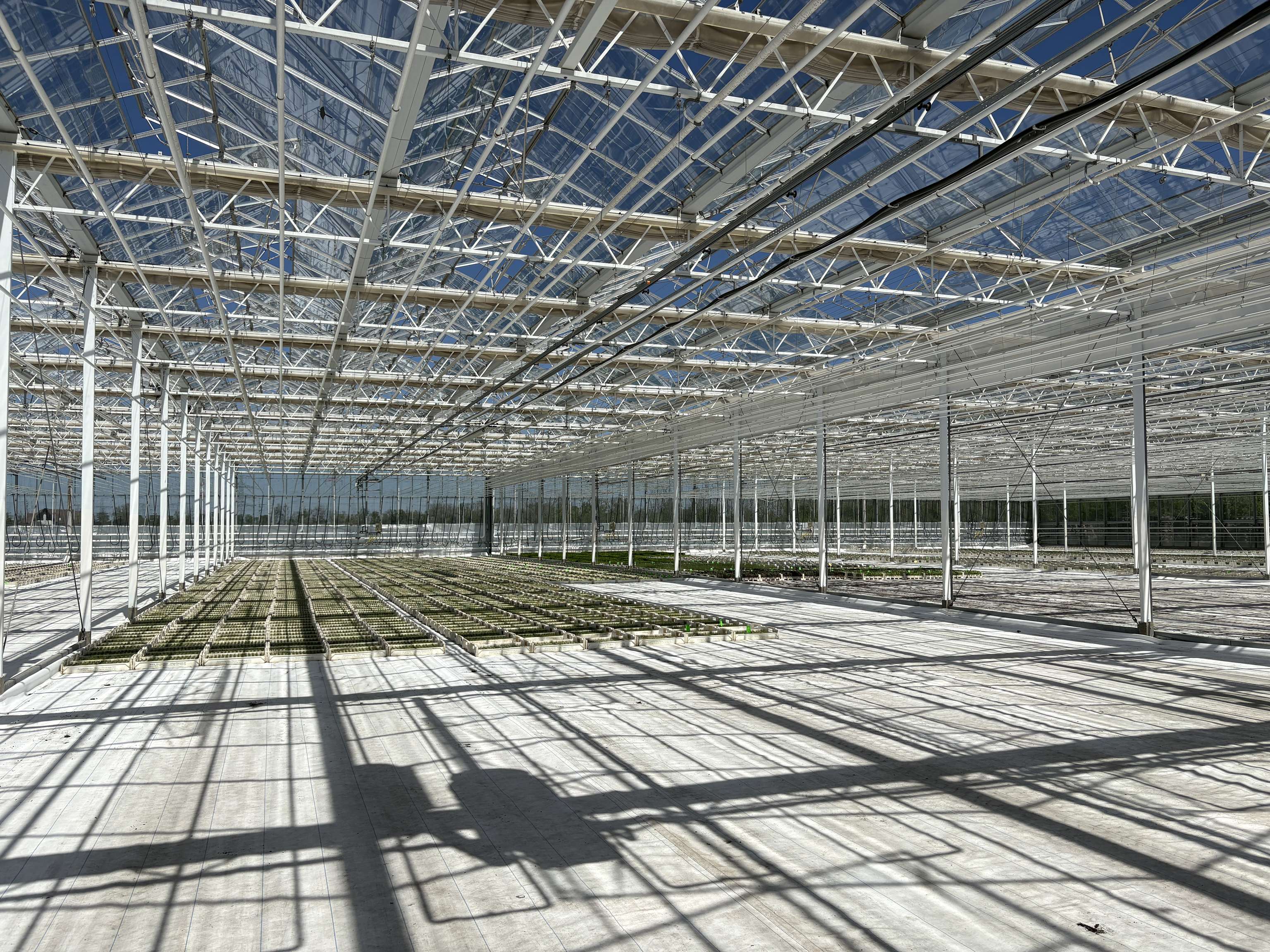 Gewächshaus